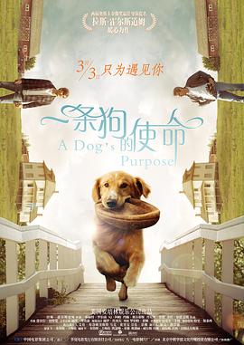综合久久精品